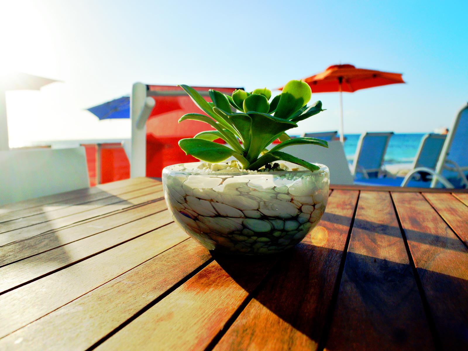 We Uniq Hotel El Carmen Adults Only Playa del Carmen Exterior photo